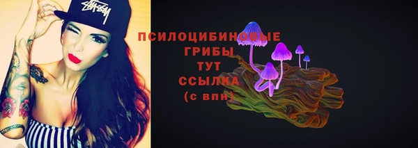 прущие крисы Лабытнанги