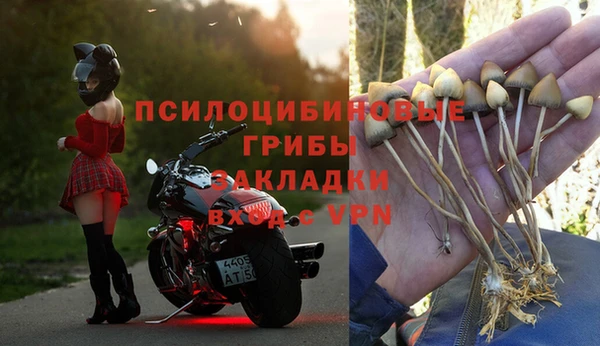 гидропоника Яранск
