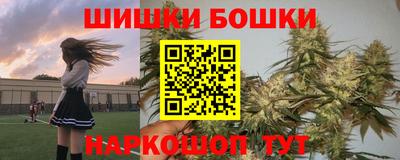 дмт Дубна