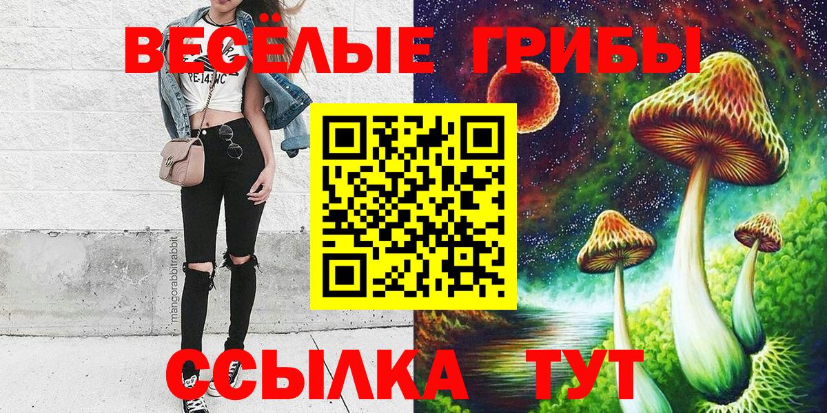 Псилоцибиновые грибы MAGIC MUSHROOMS Пушкино