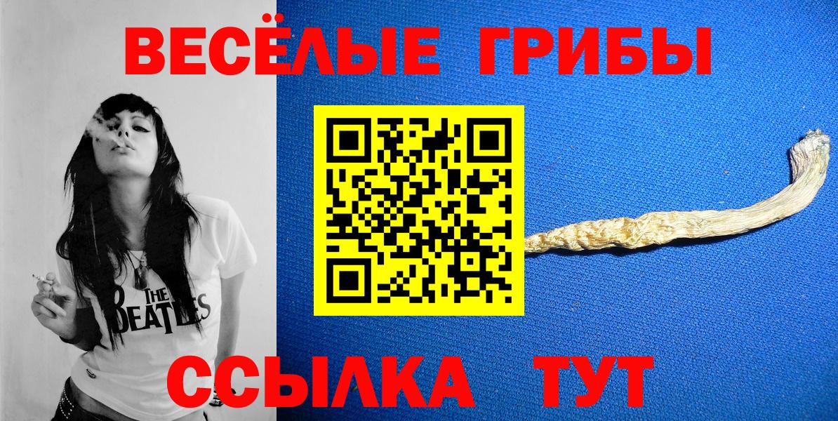 Галлюциногенные грибы мицелий  Псилоцибиновые грибы мицелий  Пушкино  Вход с VPN 