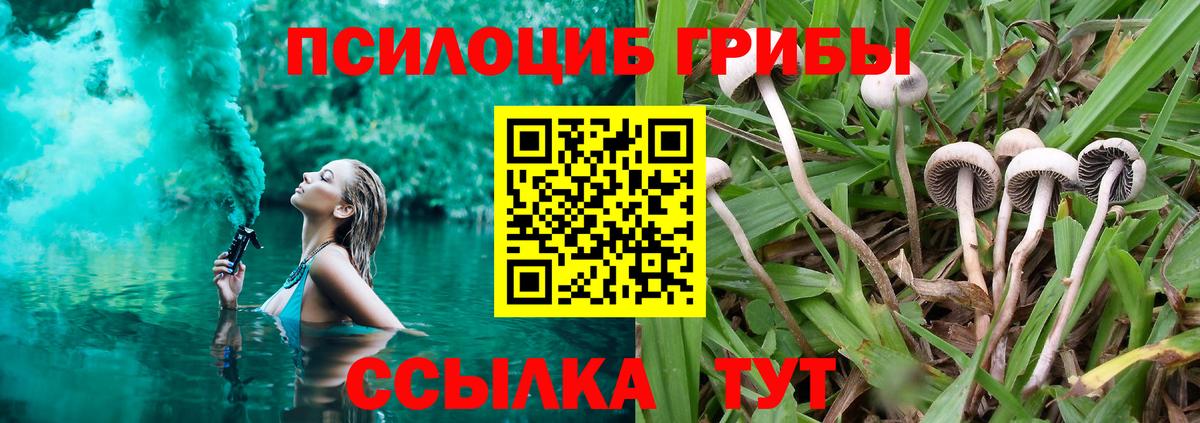 Галлюциногенные грибы MAGIC MUSHROOMS Пушкино